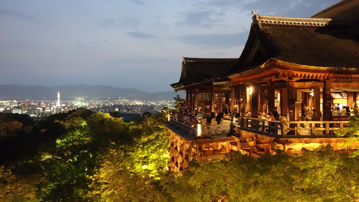 Tours of Cities - Direct to Tour Operator - Real Price